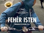 Trailer "white (fehér isten)", perros contra humanos