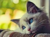 Cómo salir depresión morir intento