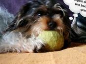 Estamos Agustito LXXIII... Regalo