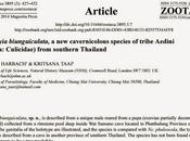 Nueva especie díptero cuevas Tailandia