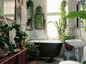 Plantas para decorar baño