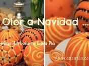 Olor Navidad Naranjas clavos olor animas hacerlo