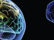 ¿Sabías muchos sitios Seguridad Social cubre rehabilitación niños daño cerebral?