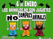 animales juguetes