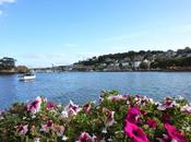 Descubriendo Irlanda: Kinsale