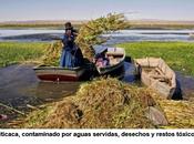 Desde Peru: Lago Titicaca, contaminación extrema