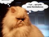 Estamos Agustito LXXIV... Regalo