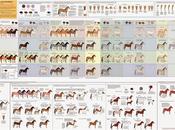 Guía enorme pintado caballos sola imagen