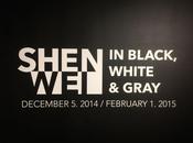 Shen Wei. Black, White Gray. Miami