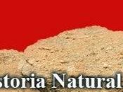 Reseña publicación nuestra