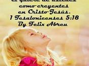 Gracias todo