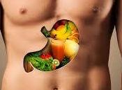 Importancia Incluir Ácidos Grasos Dietas para Aumentar masa Muscular