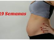 embarazo: semana