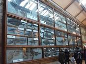 Misterio Museo