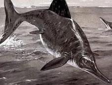 Ichthyosaurus