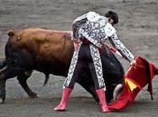 Requiem morante 4:33