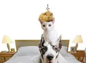 Maldito karma David Safier