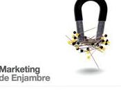 Marketing Enjambre