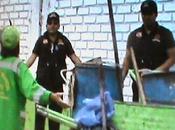 Sucios naturaleza…