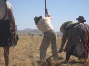 Bolivia: minifundio: laboreo agricola pequeñas parcelas
