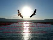 Volando juntos…