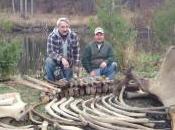 Huesos Mastodonte encontrados patio hombre Michigan