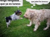 Estamos Agustito LXXVIII... torbellino... Juventud