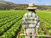 2014-2020: Jóvenes Agricultores