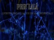 Prin´ vídeos pepito grillo conciencia