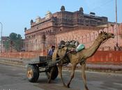 Bikaner, ciudad roja Rajasthán