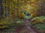 Resistencia gravedad