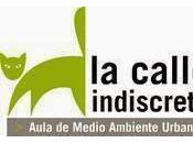 Encuentro Medio Ambiente Urbano Educación Ambiental Aragón