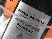 Pedra Guix 2011: fiesta placer