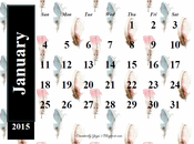 Calendarios 2015.