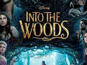 Into Woods