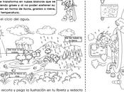 agua transforma: grado