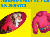Abrigo para perros