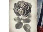 PoY–2014 Estado votaciones después días