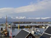 Húsavík Museo Ballena