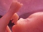 "Olvidos" mediáticos DD.HH. Cuba: atención genética prenatal