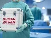 Primera donación órganos bebé hecho Reino Unido