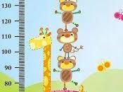 curvas crecimiento maternales