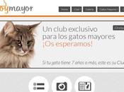 Mayor”, mayor club gatos maduros España