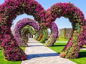 Miracle Garden (Dubai)