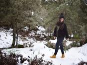 Snow, snow, snow...