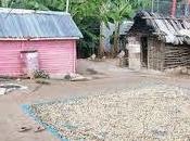 Neiba, muere accidente hijo comerciante