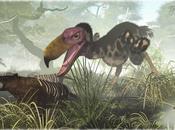 plumas dinosaurio