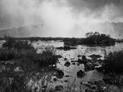 Blanco negro