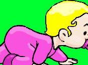 COMPETENCIA MOVILIDADIncluye tres funciones bilater...