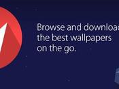 Wallmax v2.6